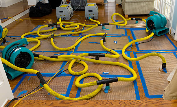 Professional Water Extraction technician working in East Carondelet, IL